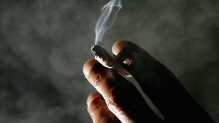 Recreational Marijuana Is Now Legal In Michigan