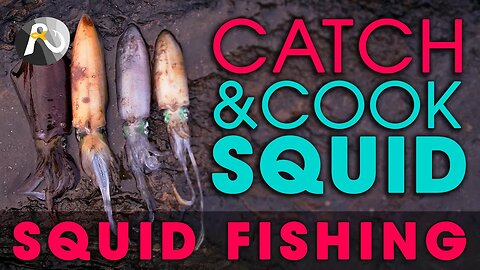 SQUID FISHING: ( 3 ) DEADLY TIPS!!!