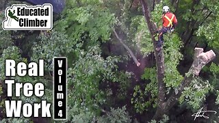 Real Tree Work Vol. 4 | Arborist Climbing and Rigging Adventures