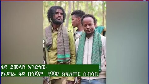 የአማራ ፋኖ በጎጃም የጃዊ ክፍለጦር ሰብሳቢ ከሆነው ፋኖ ደመላሽ አንድነው ጋር የተደረገ ቃለ-ምልልስ