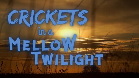Crickets in a Mellow Twilight | 15 Minutes of Twilight | Ambient Sound | Lofi Beats