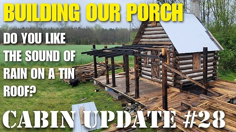 Father and son off grid cabin build update #28