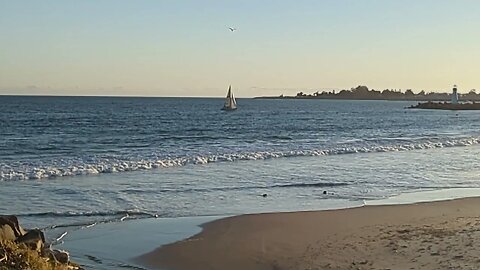 Twin Lakes Beach, near Santa Cruz Harbor.