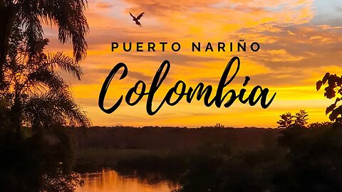 COLOMBIA'S MOST UNDERRATED TRAVEL DESTINATION (why you NEED to visit Puerto Nariño)