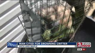 Man cited with cruelty for drowning possum