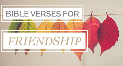 10 Bible Verses for FRIENDSHIP Love PART 5 // Bible verses for Friends//Scriptures on friendship