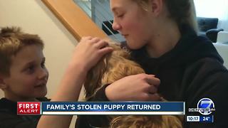 Dog stolen from front yard reunited with family five days later