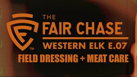 Western Elk Part 7: Field Dressing and Meat Care