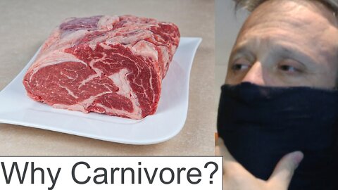 Why CARNIVORE? Watch until the end #carnivore