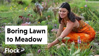 BORING LAWN To DIVERSE POLLINATOR GARDEN — Ep. 121