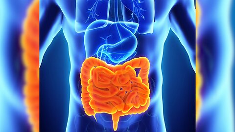 Revitalize Your Gut: The Ultimate Guide to Effective Colon Cleansing