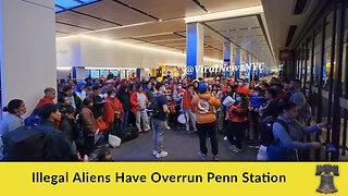 Illegal Aliens Have Overrun Penn Station