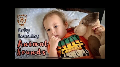 Baby Learning Animal Sounds
