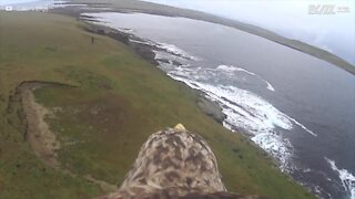 Les magnifiques paysages d'Écosse vus à travers les yeux d'un aigle