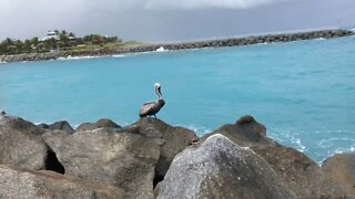 Standing On The Rock