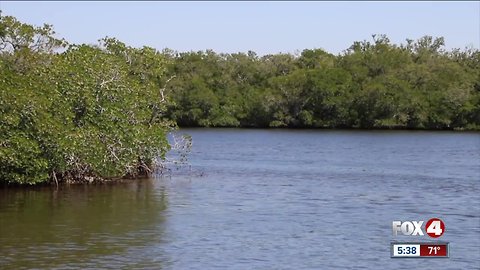 FGCU focusing on water quality through new program