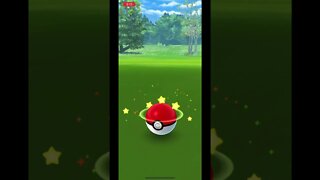 Pokémon Go - Catching Spearow Gameplay