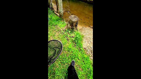 Creek Fishing Is The Ultimate Connection With Yourself, Nature, and God