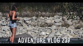 JOSH JAMES adventure VLOG 239 A Deer A Trout and a Camping Mission New Zealand Red Deer Roar 2023