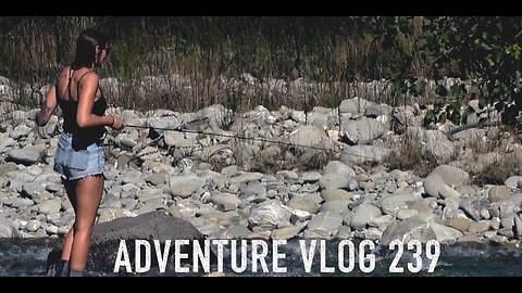JOSH JAMES adventure VLOG 239 A Deer A Trout and a Camping Mission New Zealand Red Deer Roar 2023