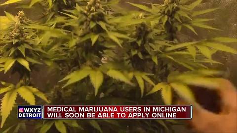 Michigan plans online medical marijuana registration