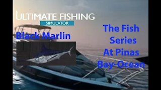 Ultimate Fishing Simulator: The Fish - PinasBay Ocean - Black Marlin - [00047]