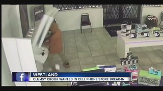 Ouch! Phone display falls on man robbing Westland Metro PCS store