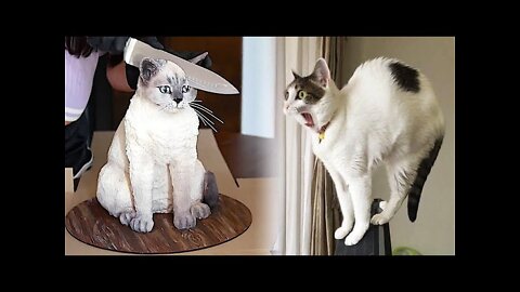 Cute Cats 😹 and Dogs 🐶 Funniest Animals 😂