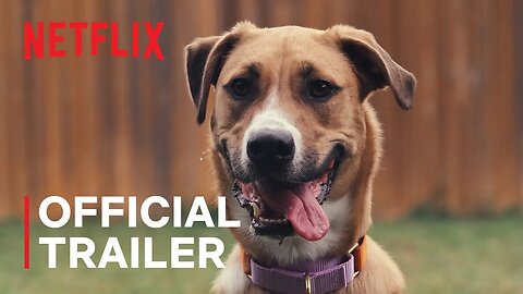 Inside the Mind of a Dog | Official Trailer | Netflix Documentary