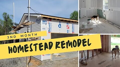 3rd Month | South Carolina Remodel | Short Update