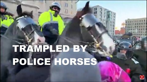 POLICE HORSES TRAMPLING ELDERLY INDIGENOUS WOMAN in OTTAWA (INSANE footage)