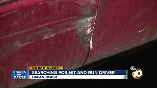 Police searching for hit-and-run driver