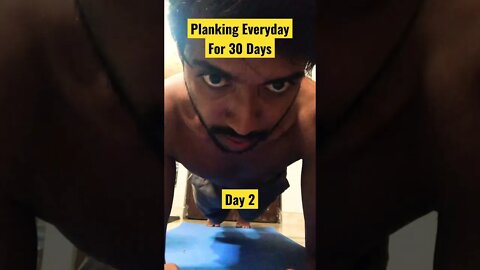 Planking everyday for 30 Days - Day 2 #shorts #skinnytofit