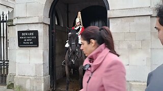 After the Horse tries to bite two people the 3rd tourist offers her hand gets called stupid #london