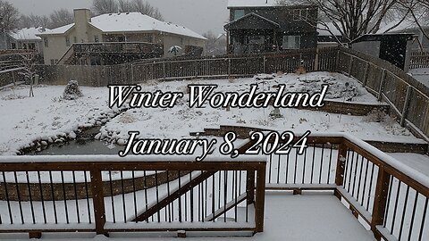 Winter Wonderland - January 8, 2024