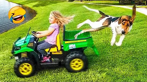 Best Funny Animal Videos 2022 🐶 - Funniest Dogs And Cats Videos 😁🤣