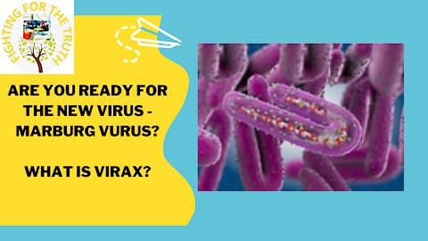 ARE YOU READY FOR THE NEW VIRUS, MARBURG? HOW CAN YOU STOP IT?