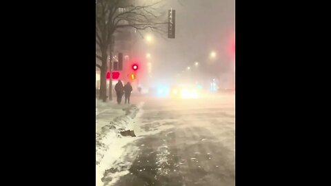 Jean Talon Strong Windstorm