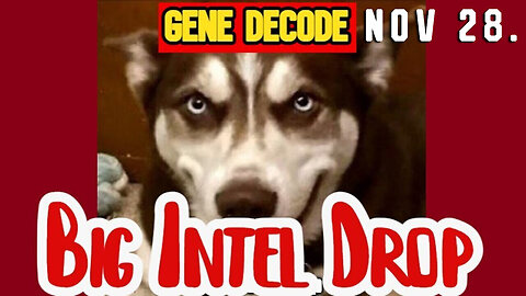 Gene Decode & SG Anon DUMBS Intel 11.28.2Q23