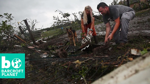 Storm Chaser Rescues Horse From Tornado