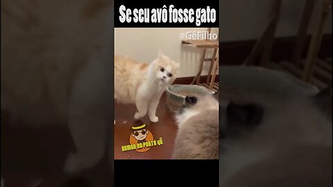 Se seu avô fosse gato