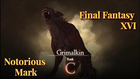 Notorious Mark - Grimalkin Hunt Board Final Fantasy XVI