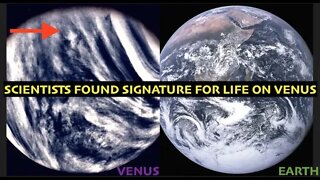 Life on Venus, Scientists Believe They Found It! Full Disclosure, Latest Sep.14.2020