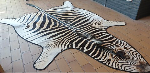 Felted Zebra Rug Hide