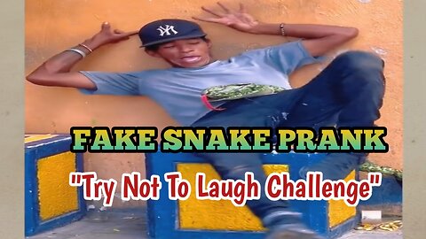 FAKE SNAKE PRANK | funny prank video | Try Not To Laugh Challenge
