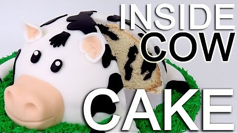 How to make a cow cake with an inside cow pattern!