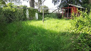 Surprise $0 Overgrown Yard Clean Up. Part 3 The Backyard!