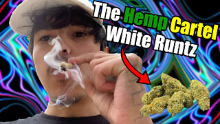 Hemp Cartel - White Runtz