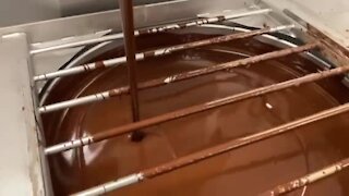 Clovr Cannabis: Chocolate machine
