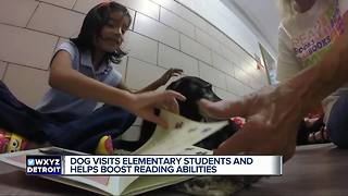 Dog visits elementary students and helps boost reading abilities